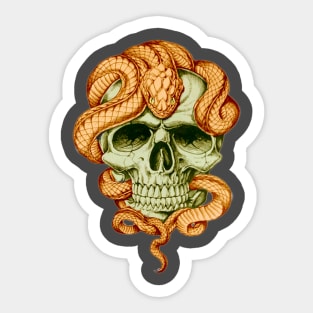 Snake and Skull Sticker